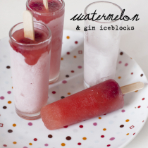 Watermelon, Raspberry & Gin Iceblocks